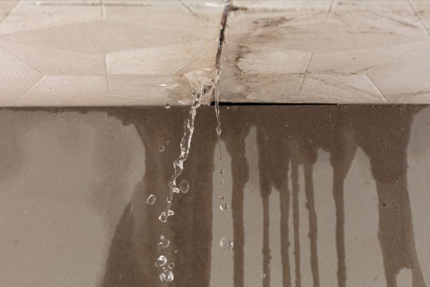 Professional Sewage Cleanup technician working in Royse City, TX
